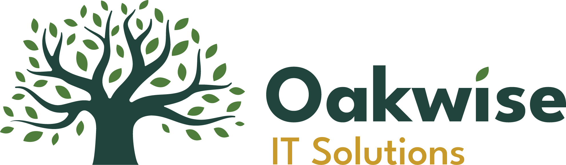 Oakwise IT Solutions Ltd